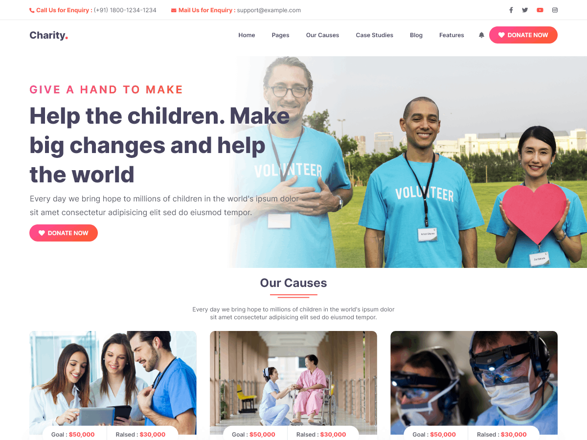 Charity Blocks theme screenshot