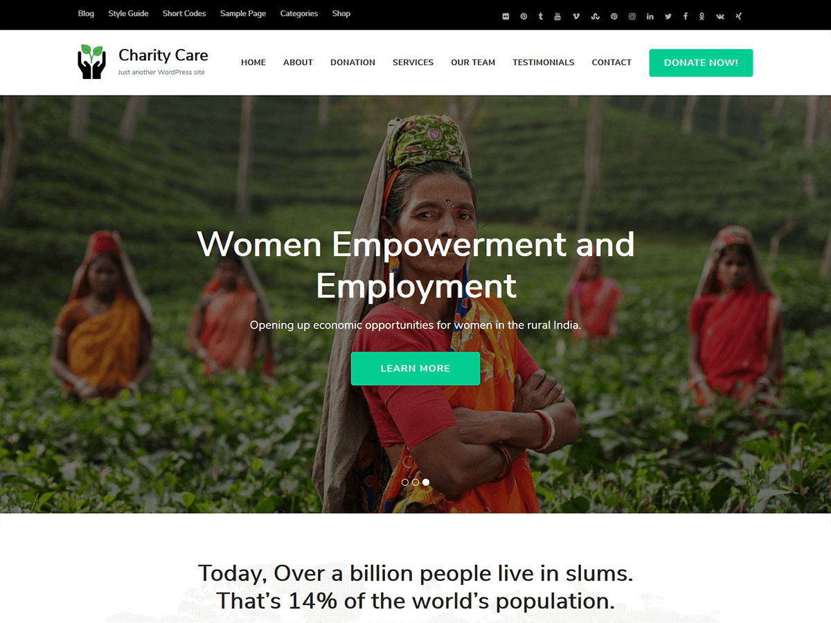 Charity Care theme screenshot