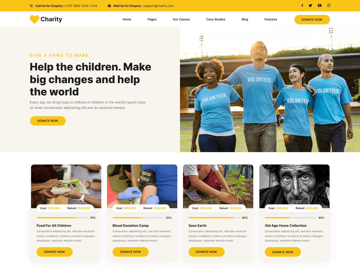 Charity Foundation theme screenshot