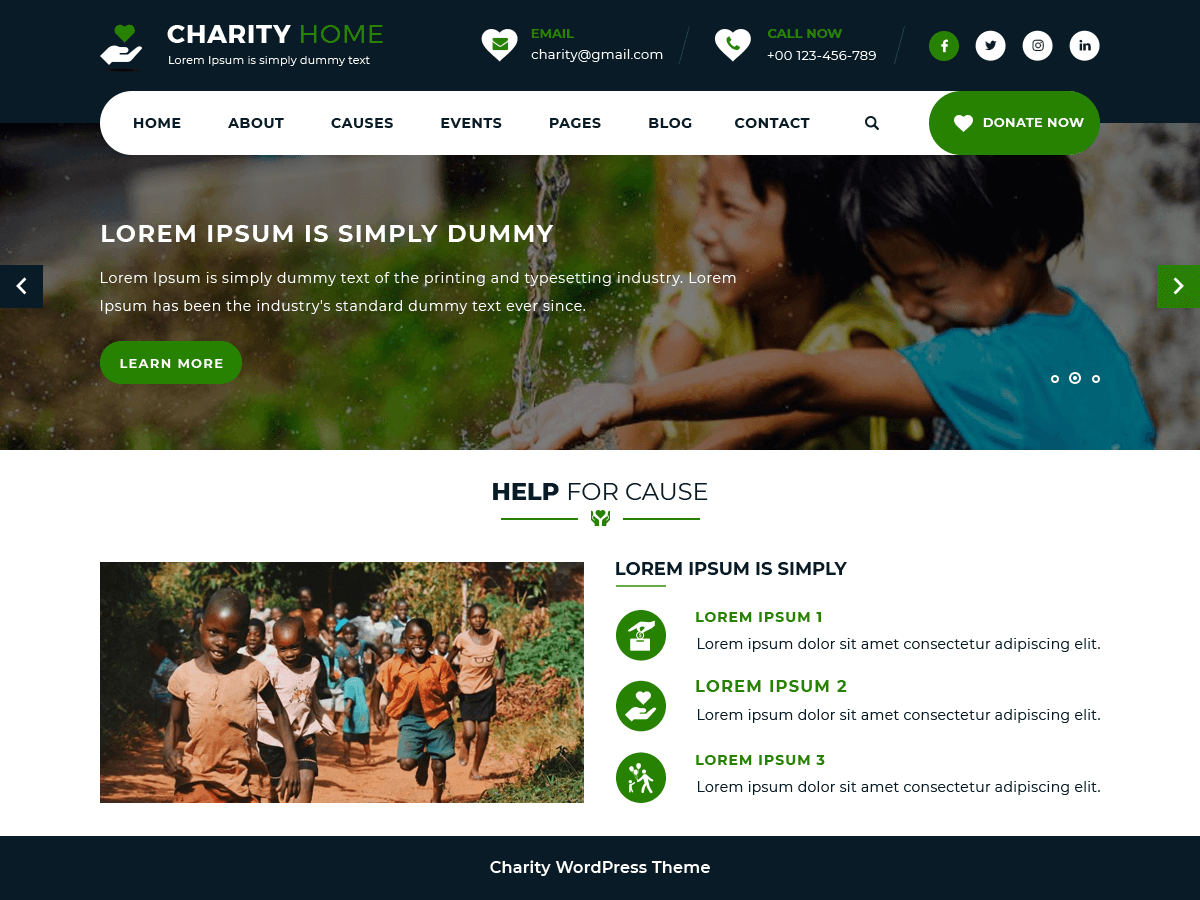 Charity Fundraiser theme screenshot