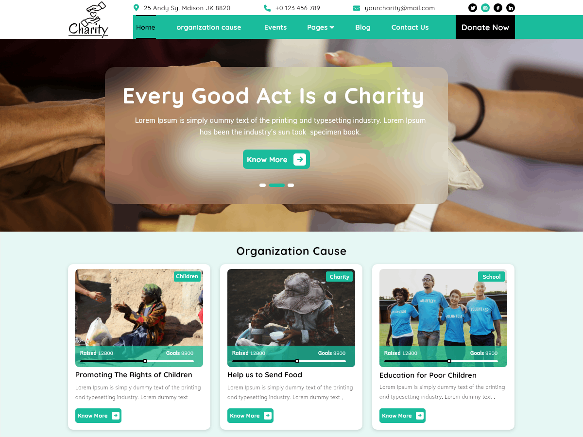 Charity Funds theme screenshot