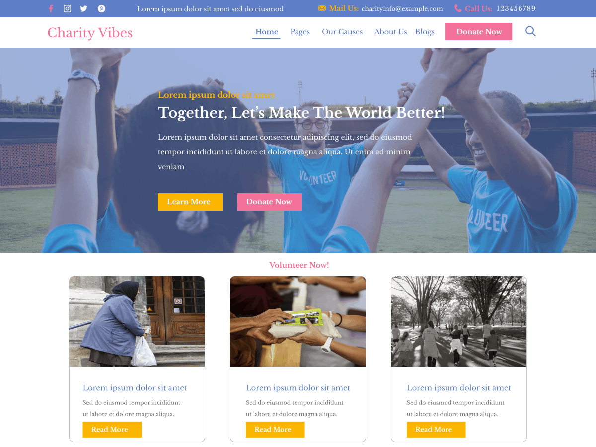 Charity Vibes theme screenshot
