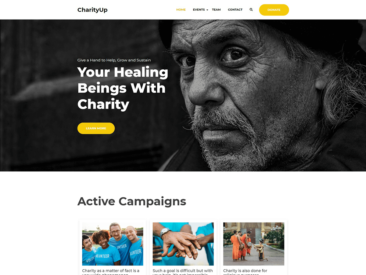 CharityUp theme screenshot
