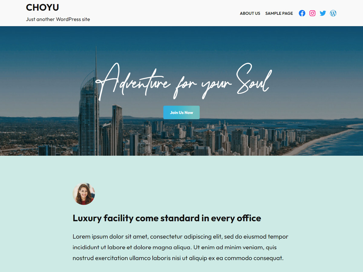 Choyu theme screenshot