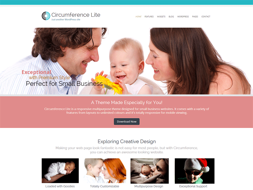 Circumference Lite theme screenshot