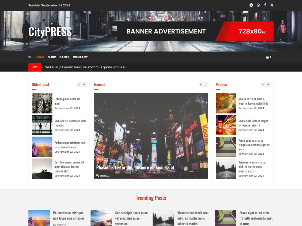 Citypress theme screenshot