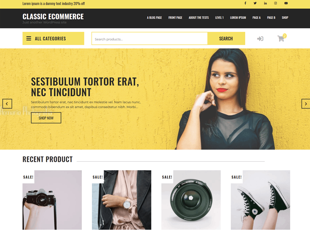 Classic Ecommerce theme screenshot