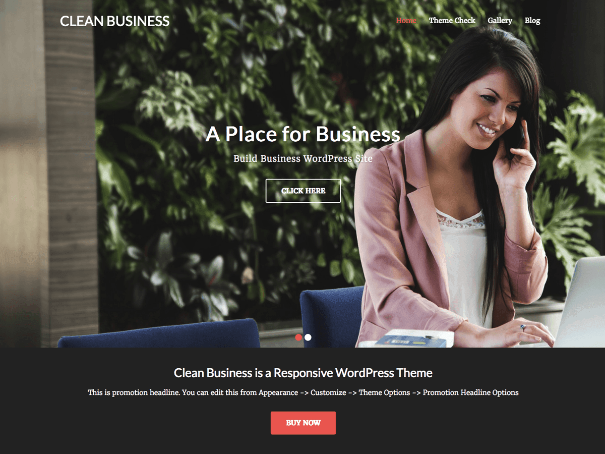 Clean Business theme screenshot