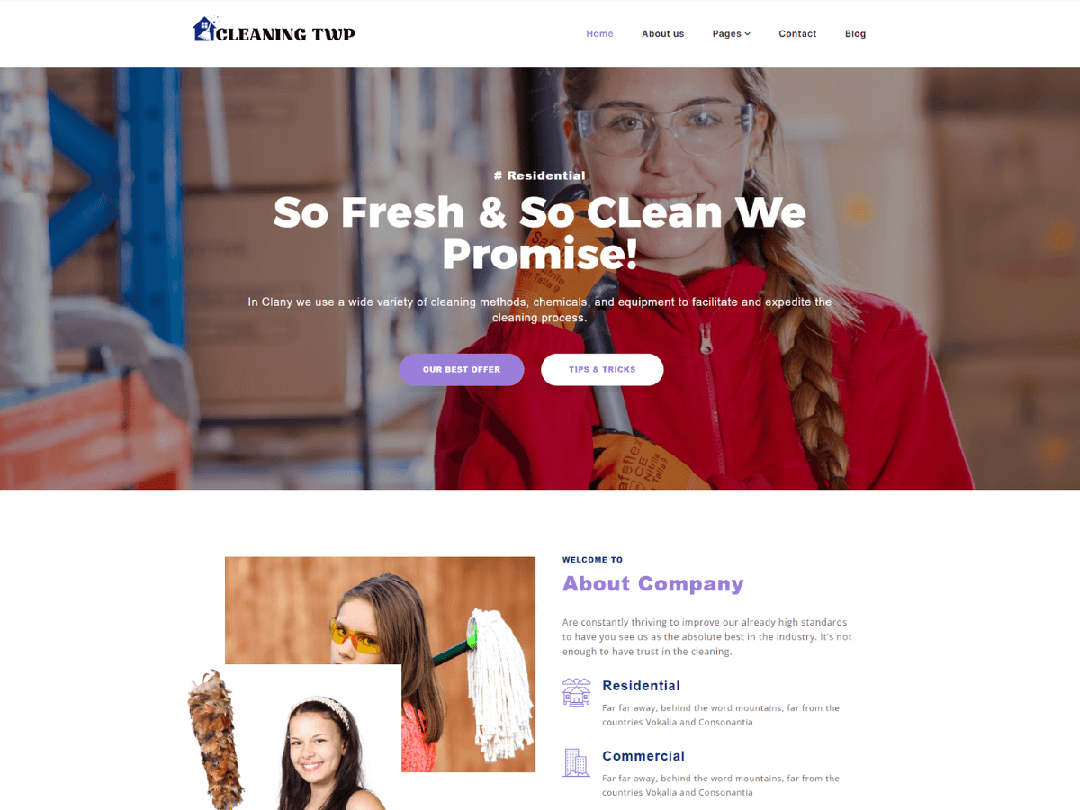 Cleaning Elementor theme screenshot