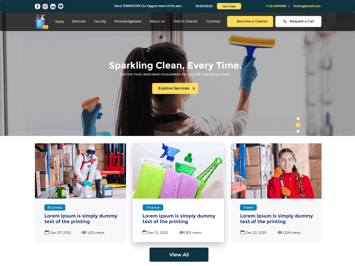 Cleaning Specialist theme screenshot