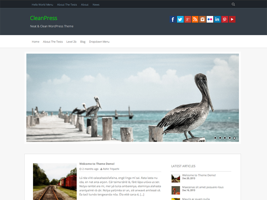 CleanPress theme screenshot