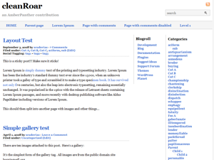 cleanRoar theme screenshot