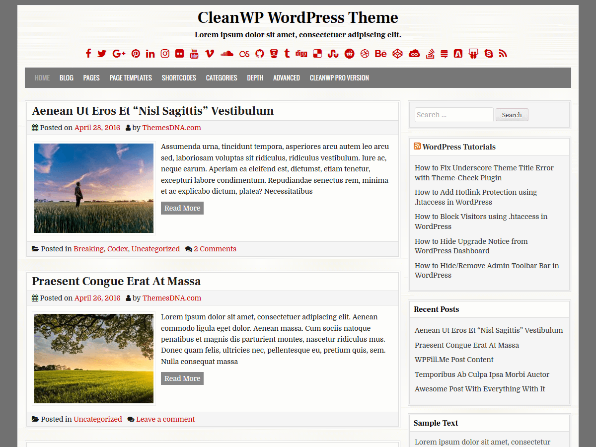 CleanWP theme screenshot