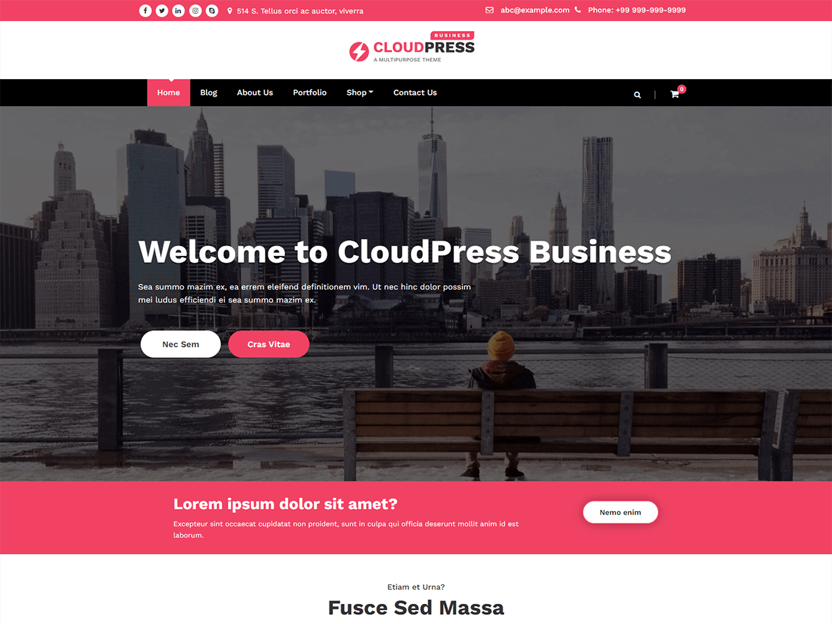 CloudPress Business theme screenshot