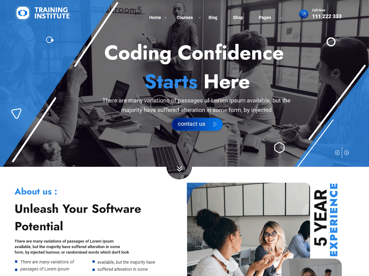 Coaching Institute theme screenshot