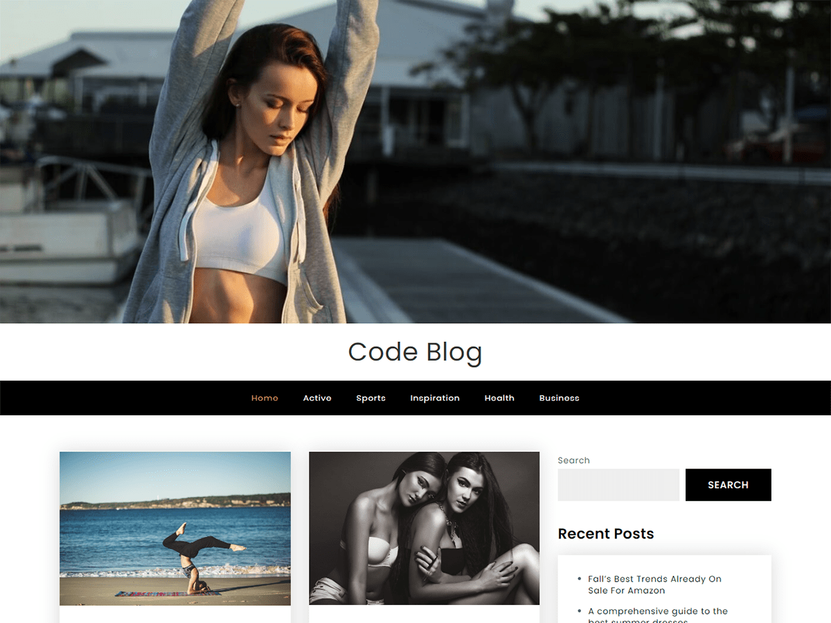Code Blog theme screenshot