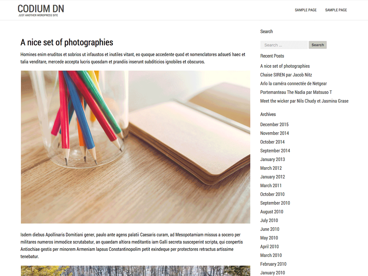 Codium dn theme screenshot