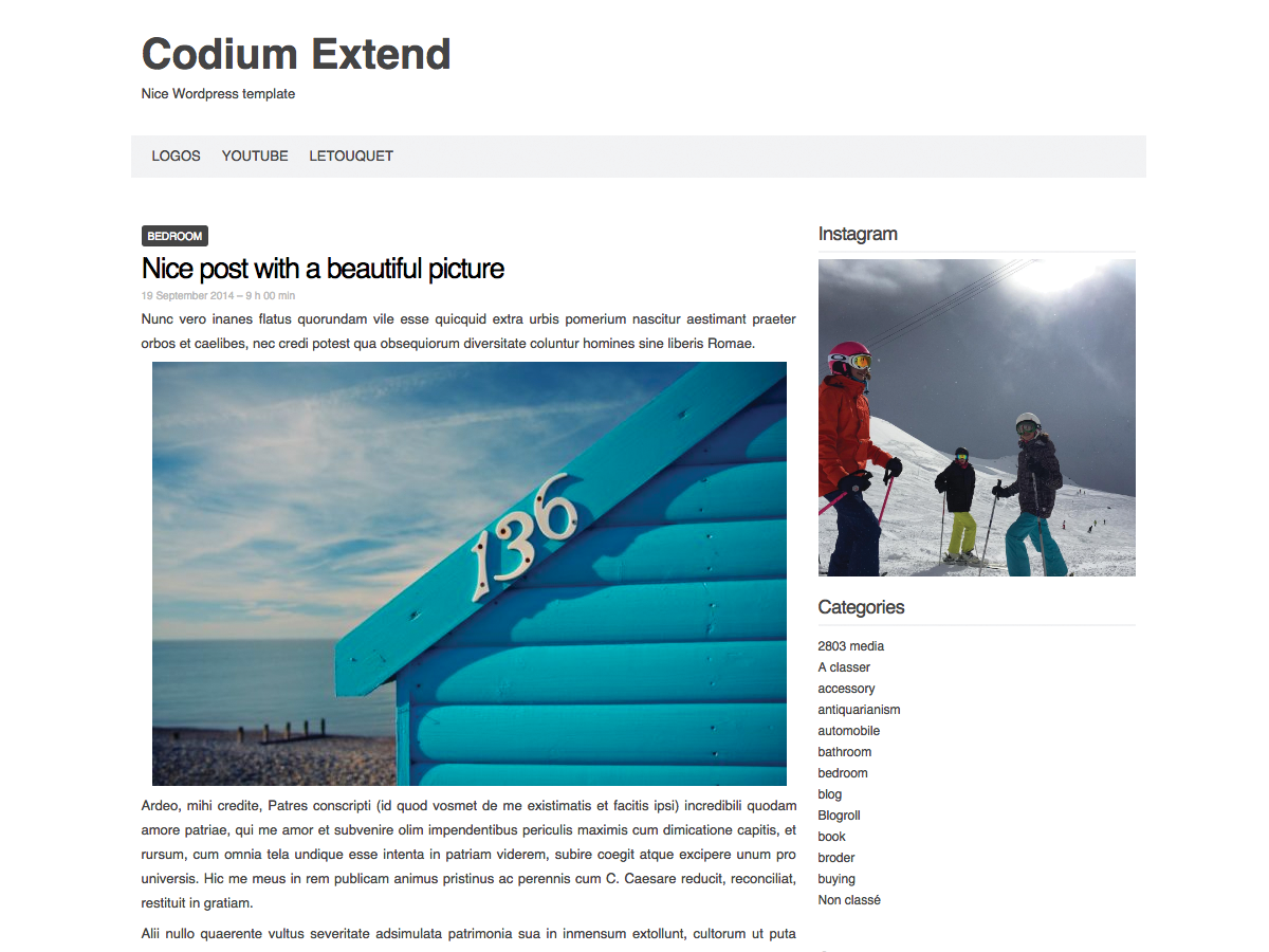 Codium Extend theme screenshot