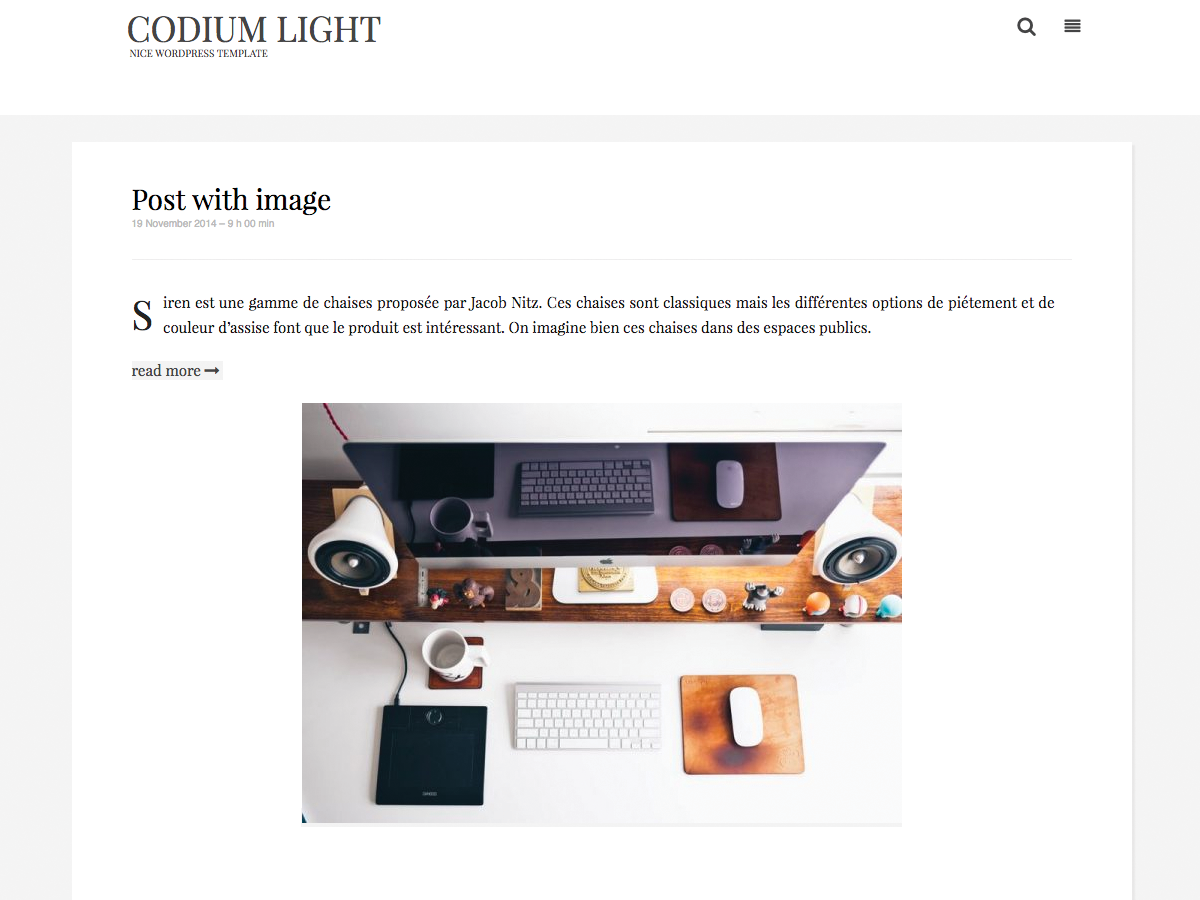 Codium Light theme screenshot