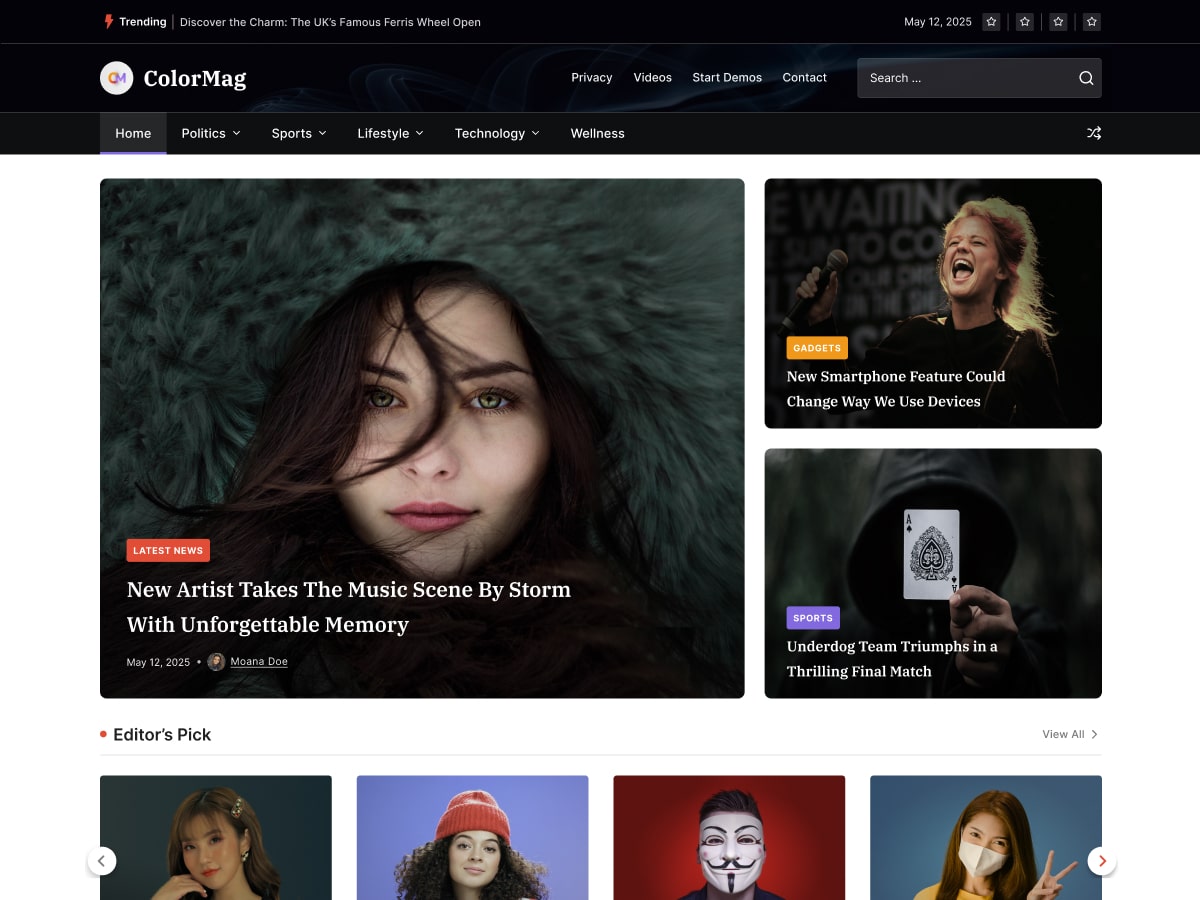 ColorMag theme screenshot