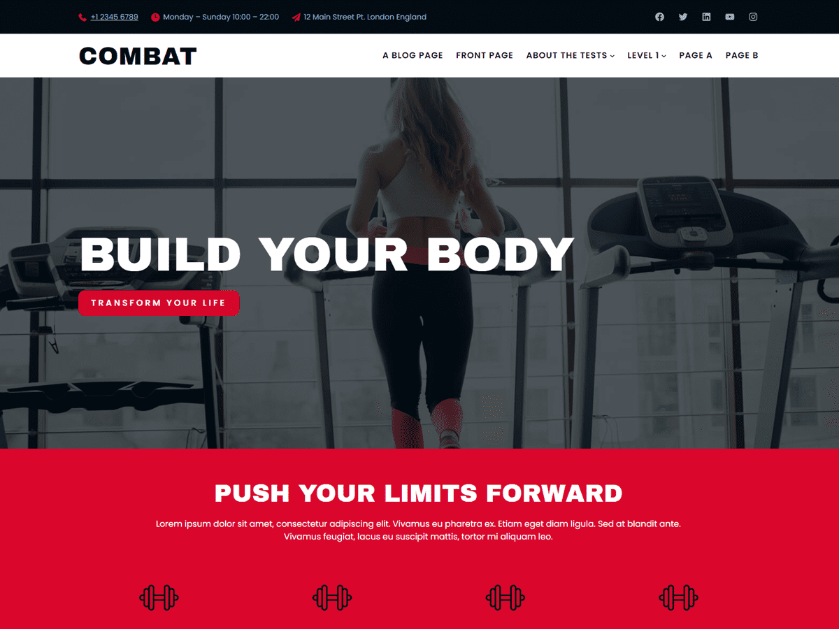 Combat theme screenshot