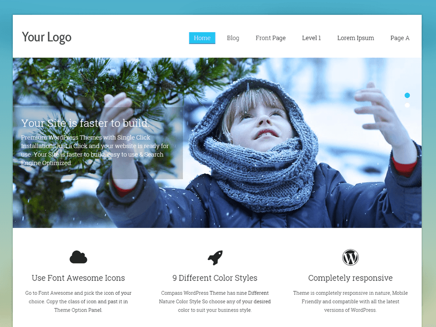 Compass theme screenshot