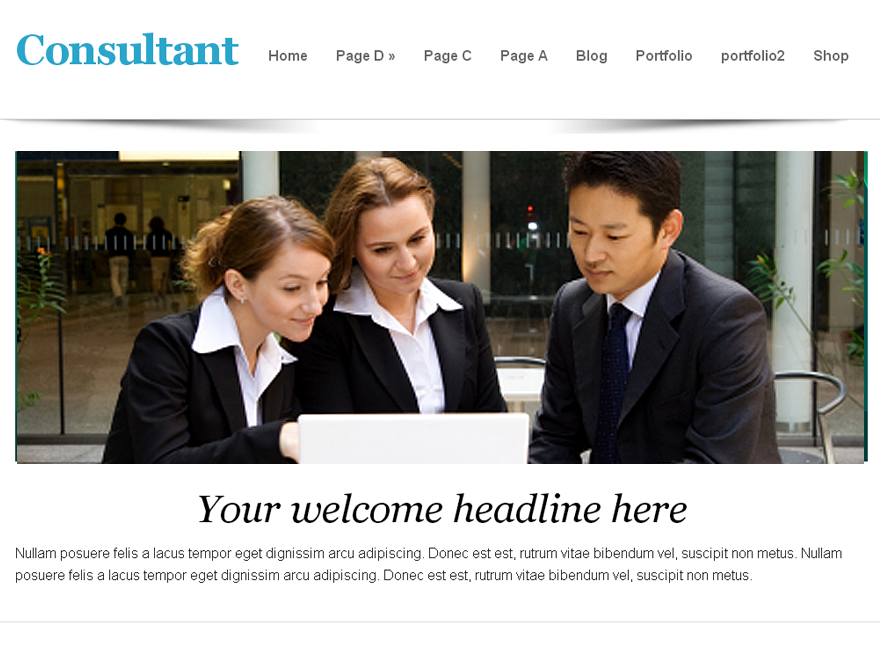 consultant theme screenshot