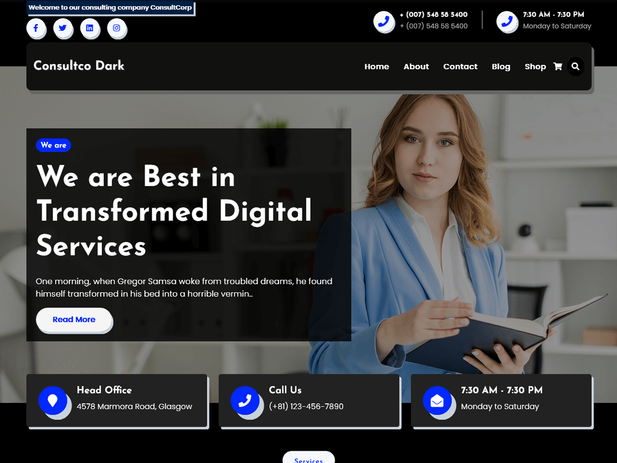 Consultco Dark theme screenshot