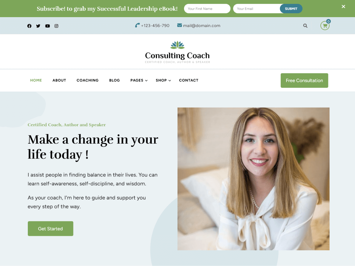 Consulting Coach theme screenshot
