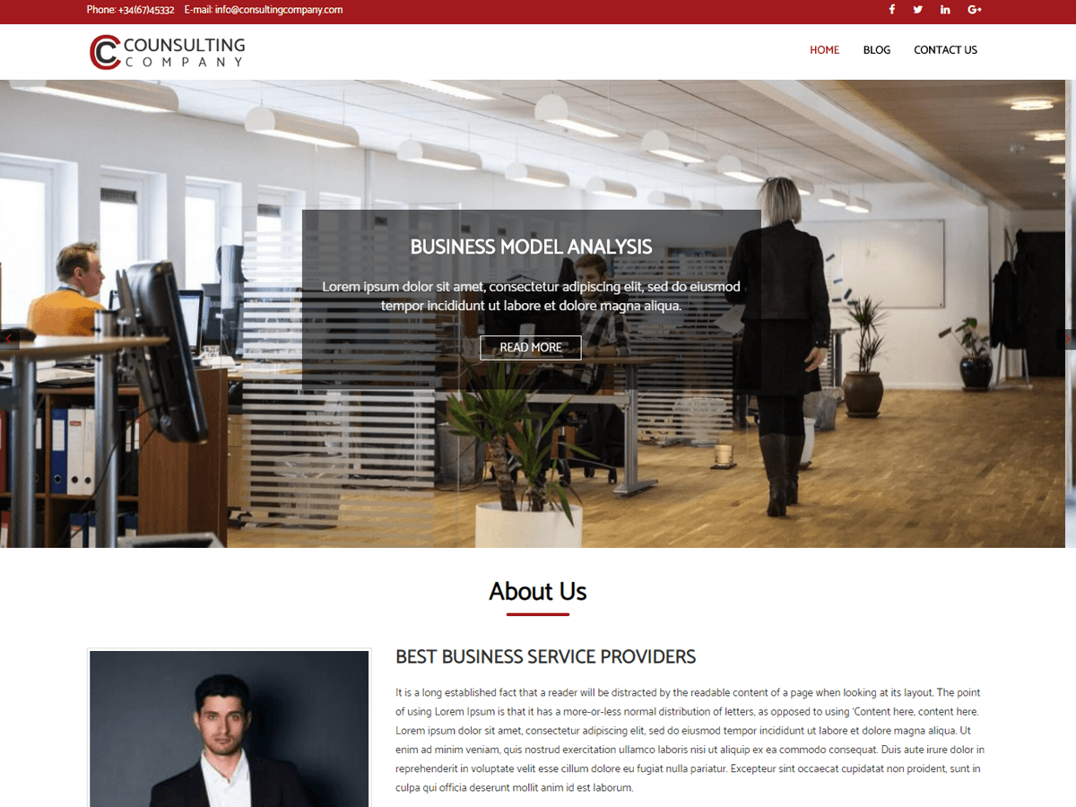 Consulting Company theme screenshot