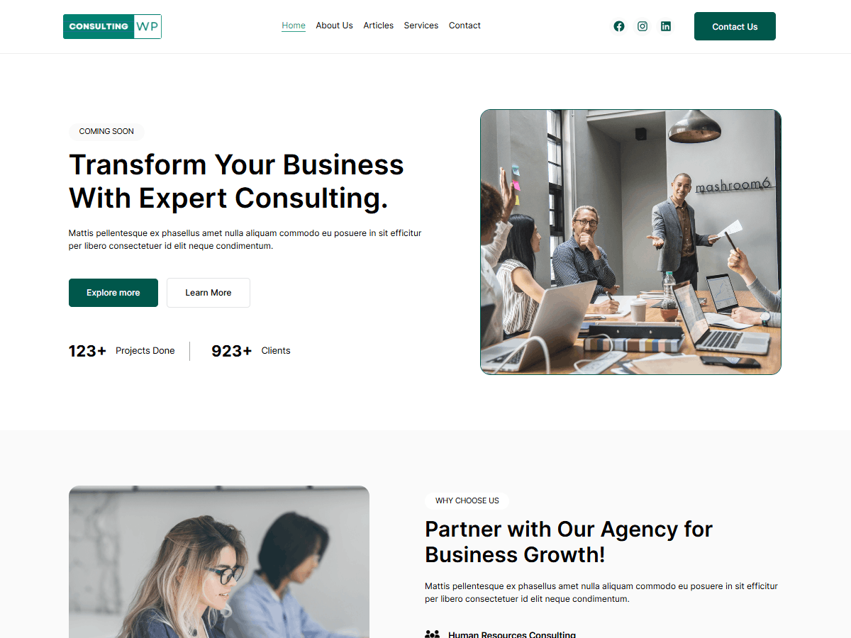 ConsultingWP Light theme screenshot