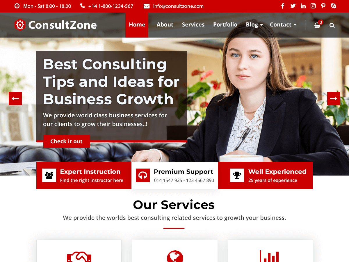 ConsultZone theme screenshot