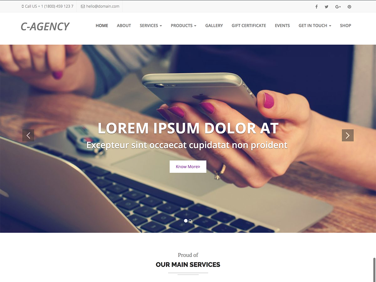 Corporate Agency theme screenshot