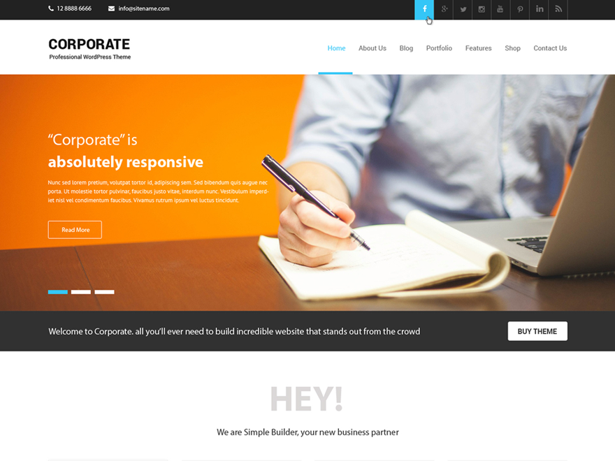 Corporate Lite theme screenshot