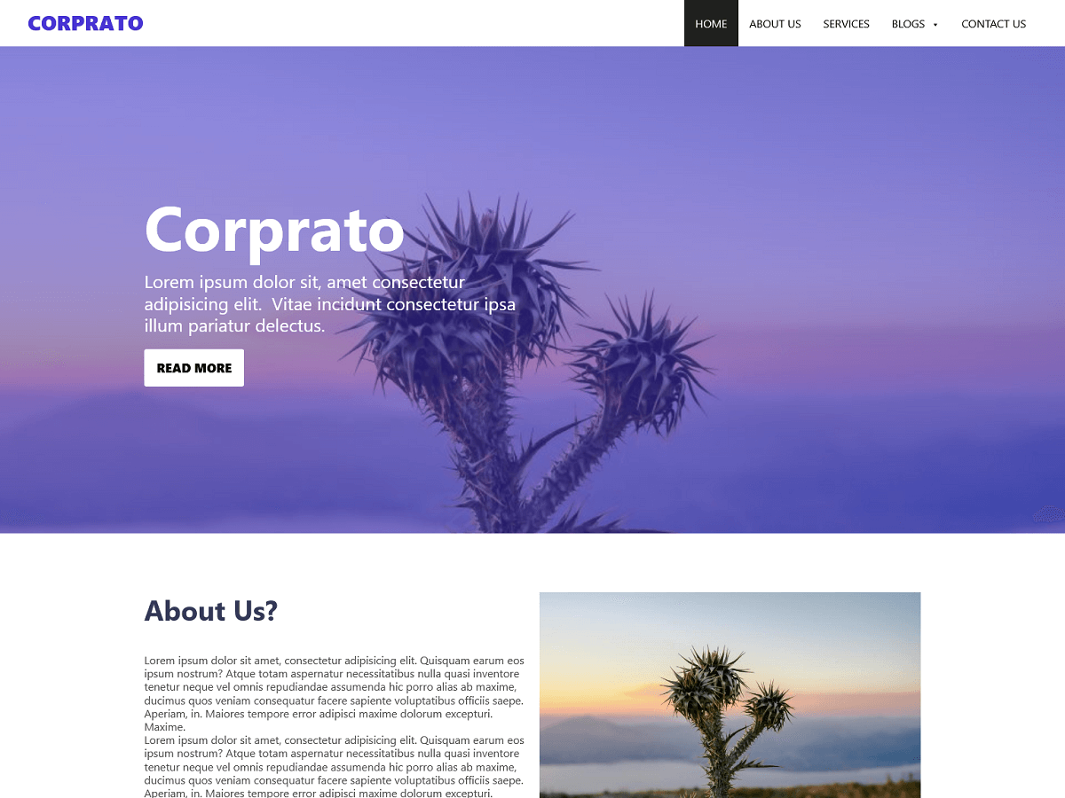 corprato theme screenshot