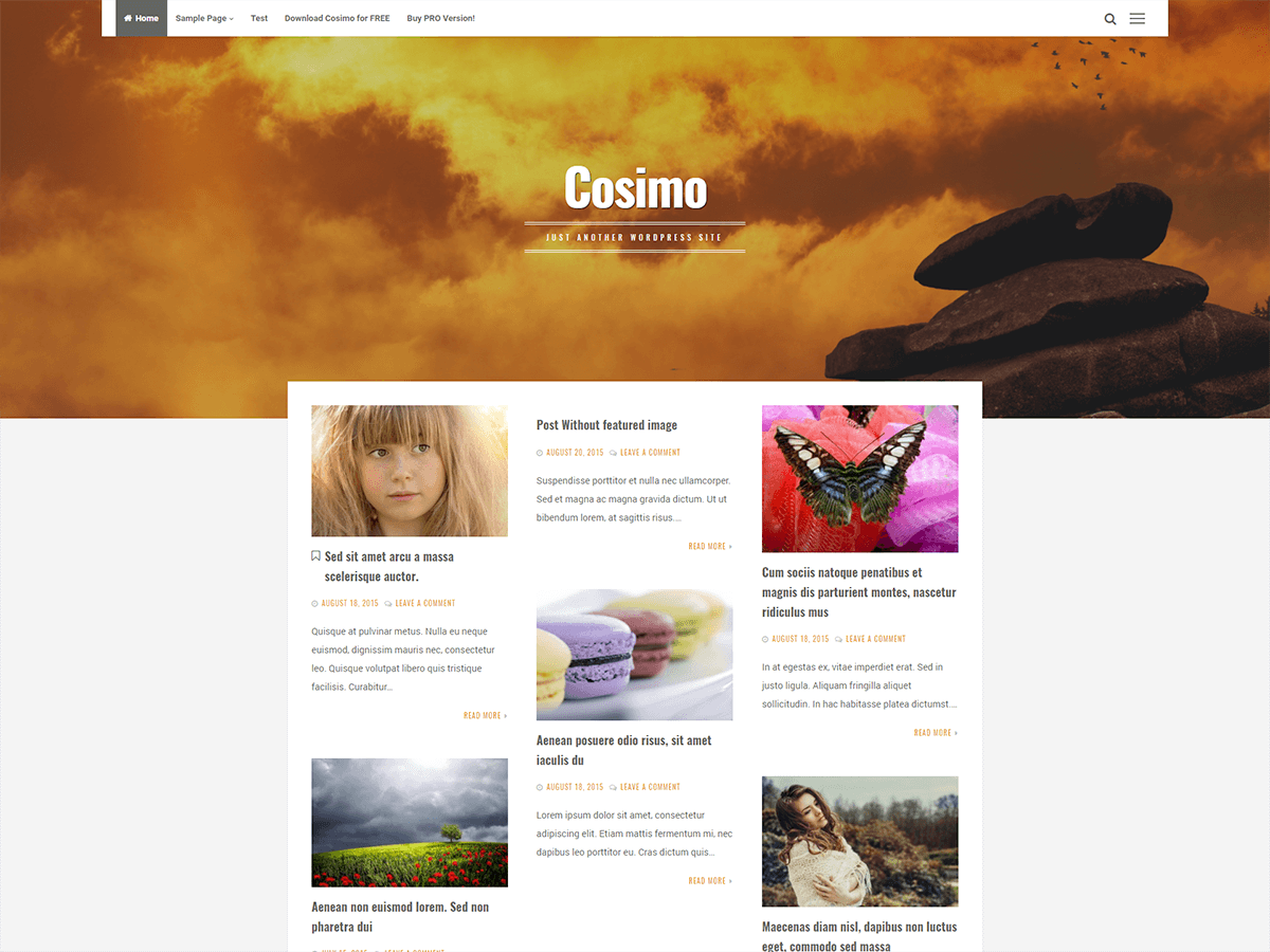 Cosimo theme screenshot