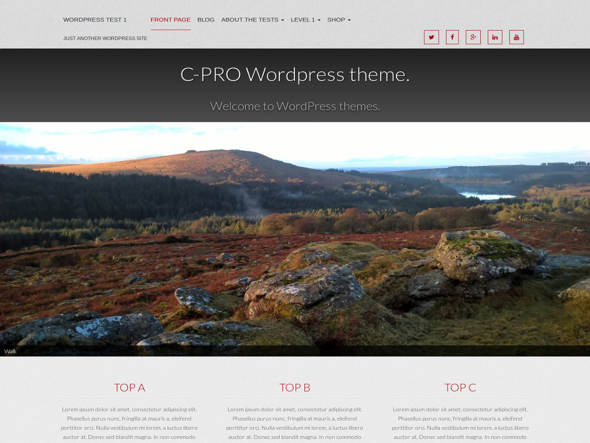 cpro theme screenshot