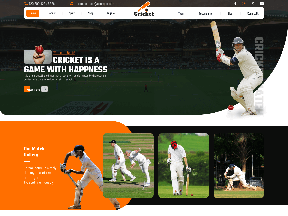 Cricket Club League theme screenshot