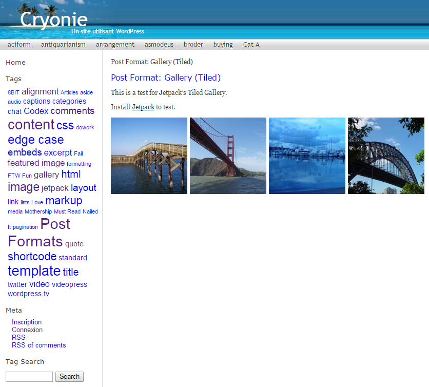 Cryonie theme screenshot