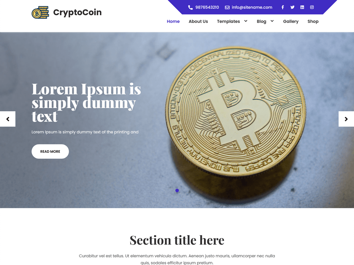 CryptoCoin Lite theme screenshot