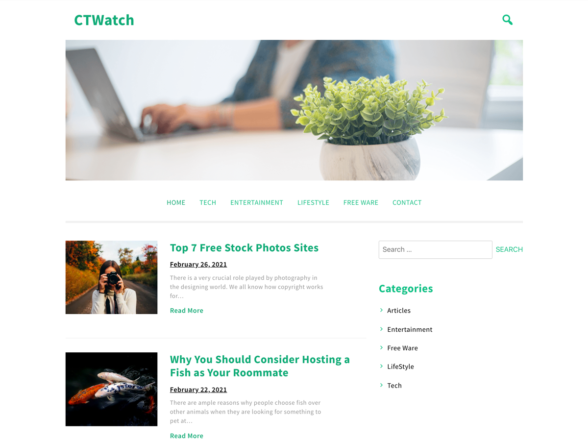 CT White theme screenshot