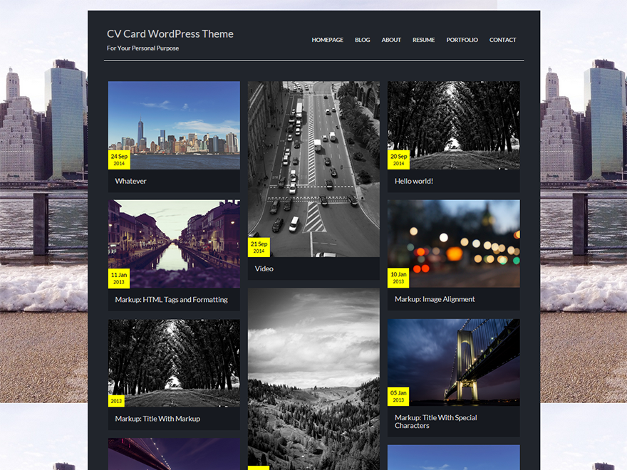 CV Card theme screenshot