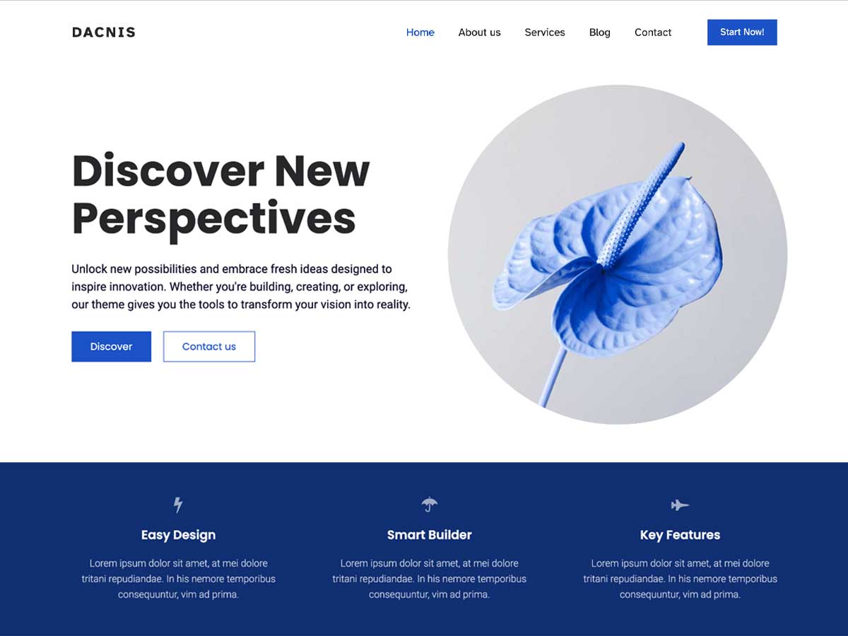 Dacnis theme screenshot