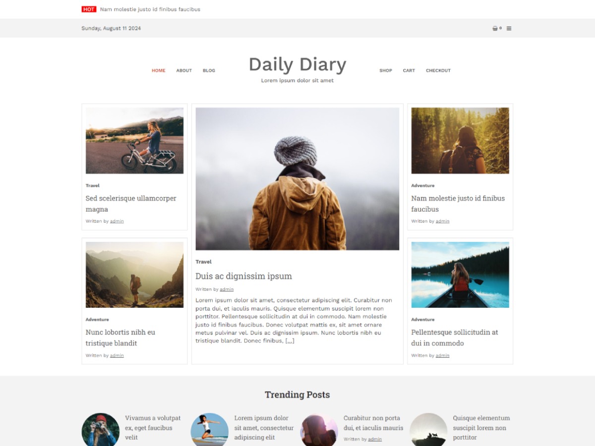 Daily Diary theme screenshot