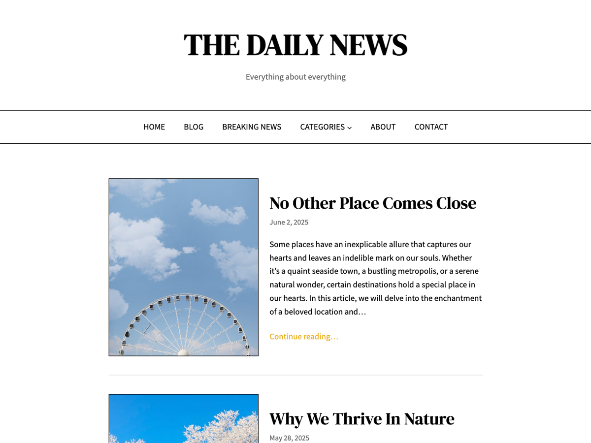 Daily News Blog theme screenshot