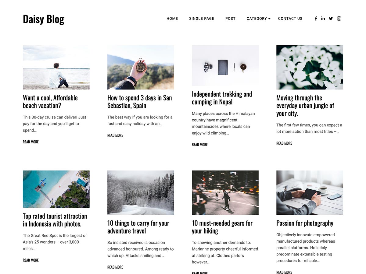Daisy Blog theme screenshot
