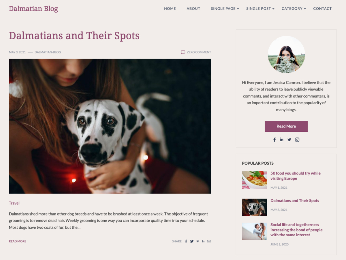 Dalmatian Blog theme screenshot