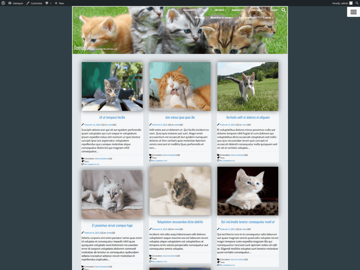 Danica theme screenshot