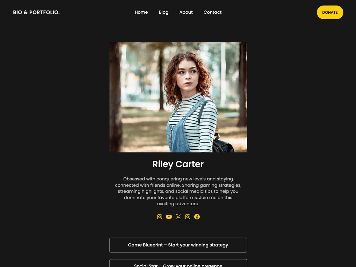 Dark Mode Portfolio theme screenshot
