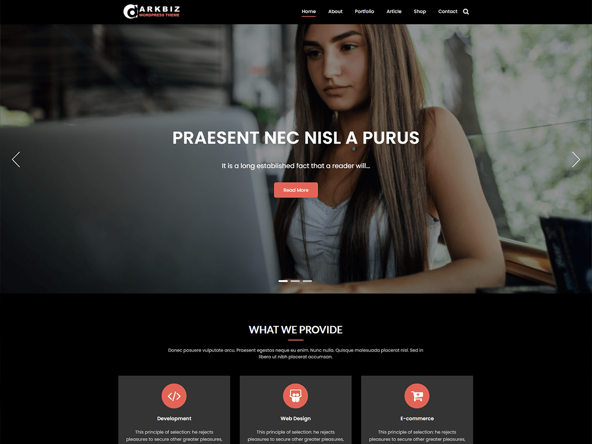 Darkbiz theme screenshot